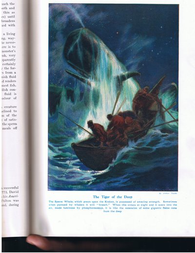 The Tiger of the Deep, Illustration from 